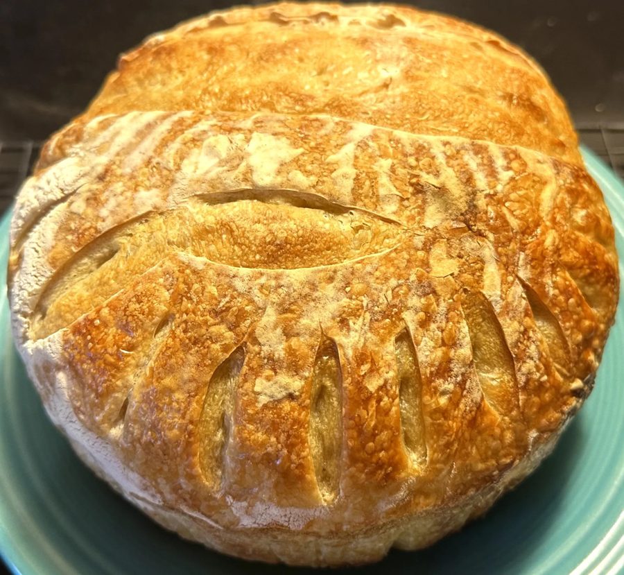 A round sourdough loaf with a floured, deeply scored golden crust on a teal plate