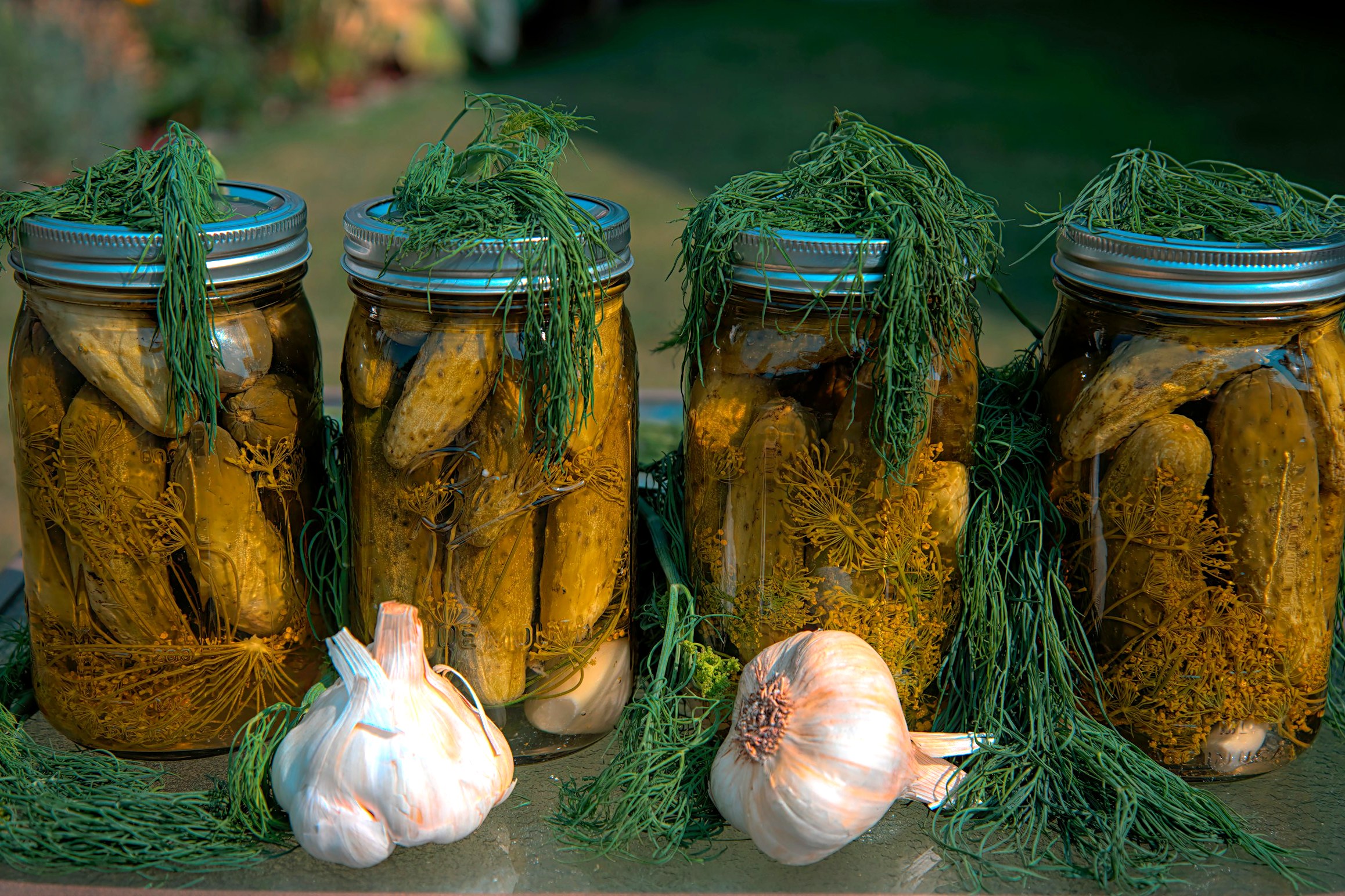 A Blog Cover Single Image
