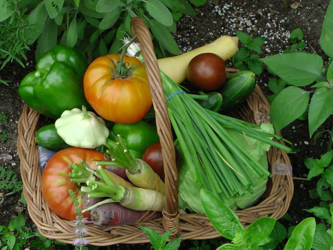 A Blog Image 
