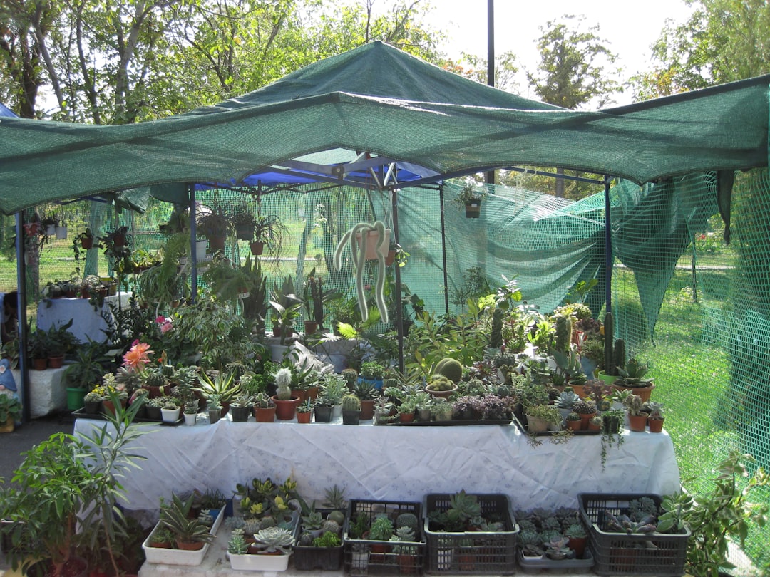 A Blog Image 