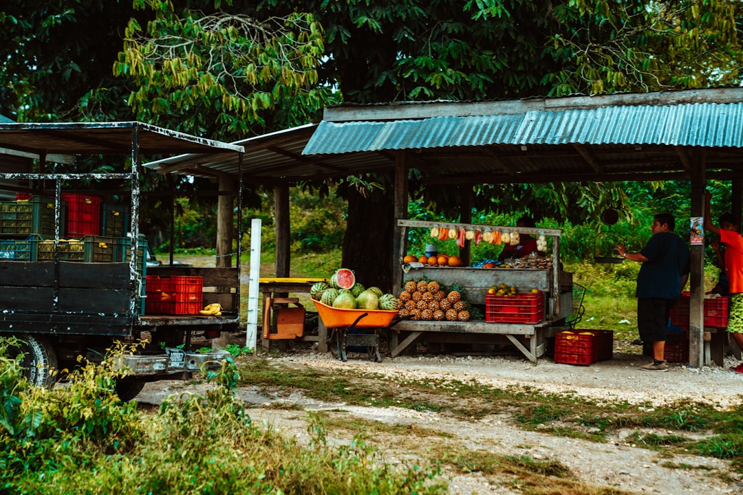 A Blog Image 