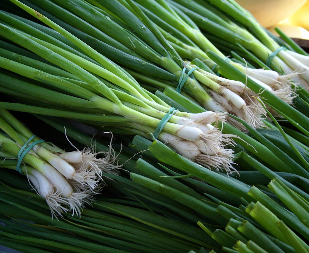 A Blog Image 