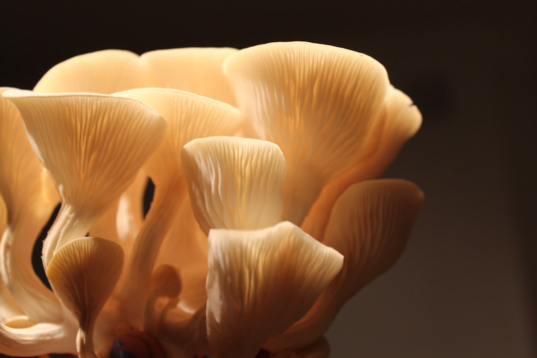A Blog Cover Single Image