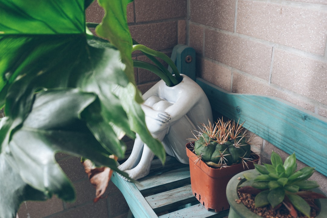 A Blog Image 