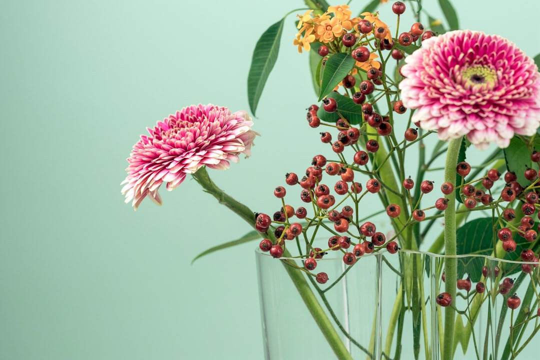 A Blog Cover Single Image